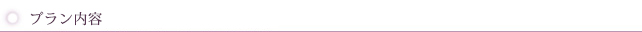 プラン内容