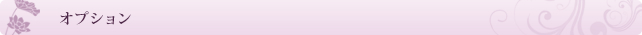 オプション